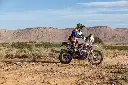 kove 450 rally DM (2).webp