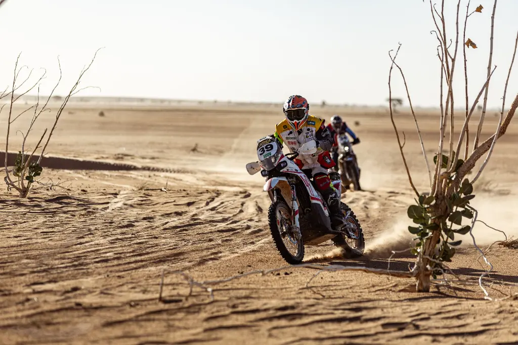 kove 450 rally DM (5).webp