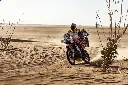 kove 450 rally DM (5).webp