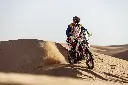 kove 450 rally DM (4).webp