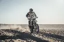 kove 450 rally DM (3).webp