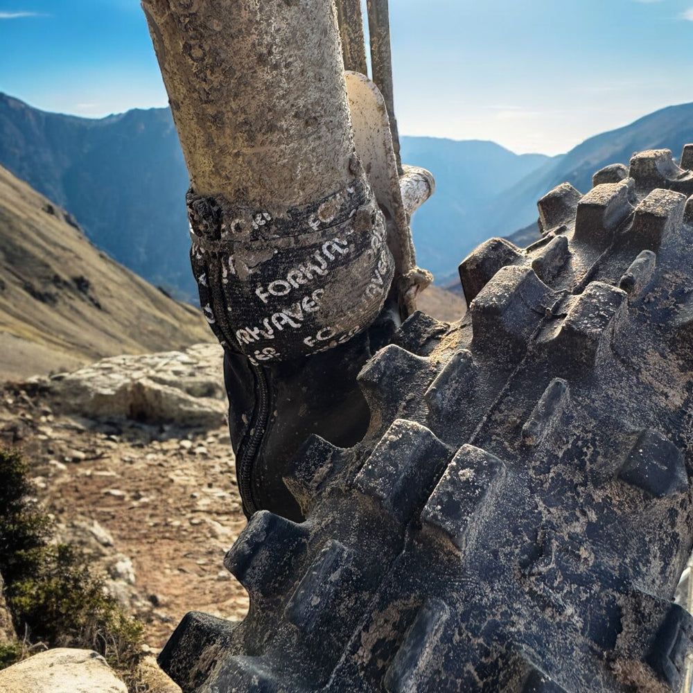 Perché abbiamo scelto ForkSaver